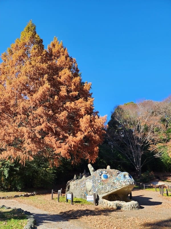 20221127_130538.jpg 20221127_130538.jpg