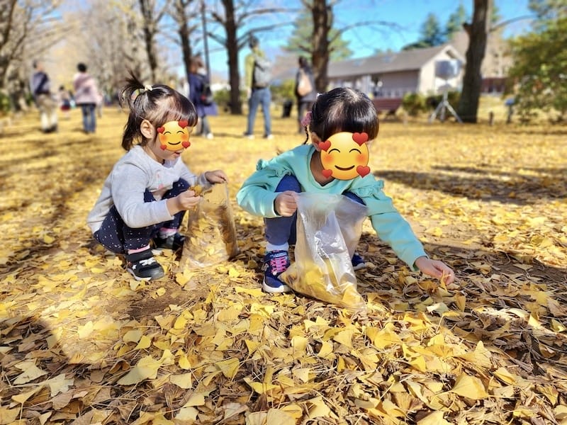 20221127_111234.jpg 20221127_111234.jpg