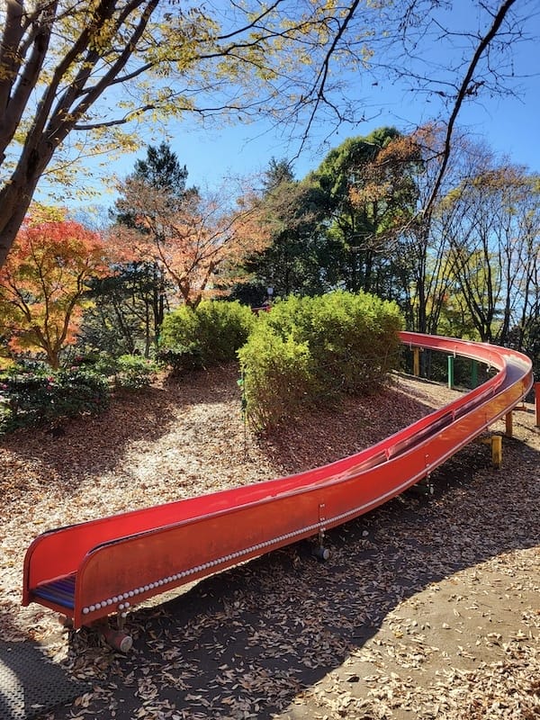 20221127_122122.jpg 20221127_122122.jpg