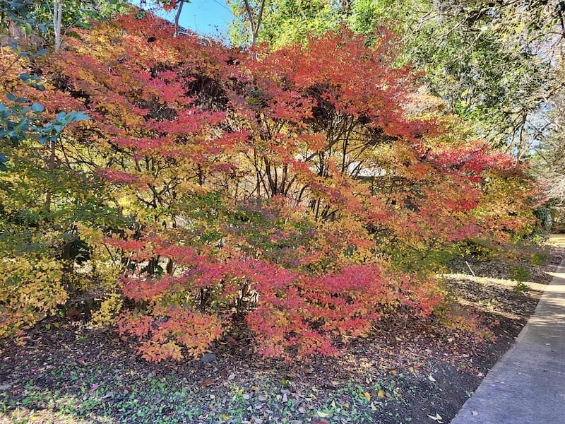 20221127_113728.jpg 20221127_113728.jpg