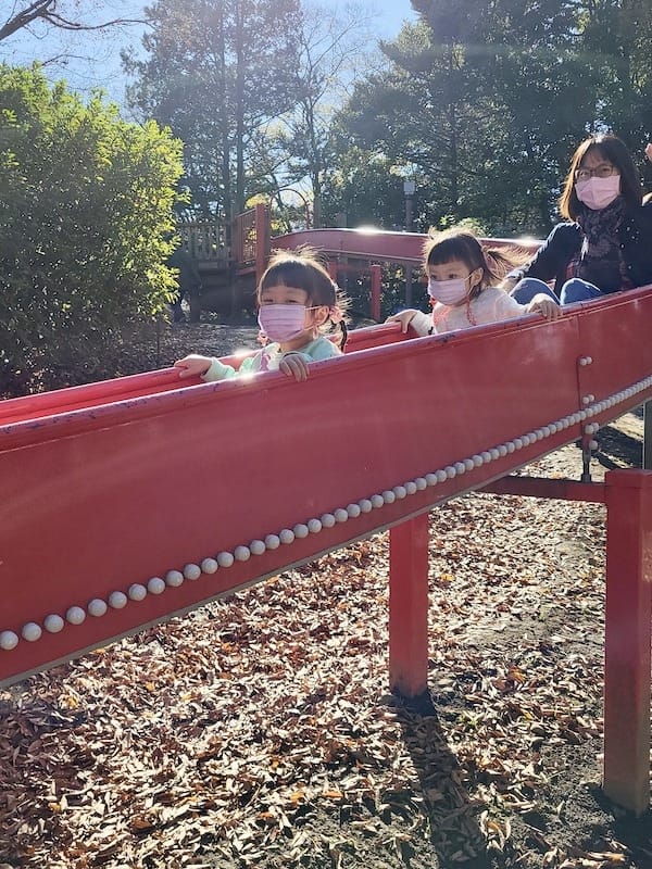 20221127_122249.jpg 20221127_122249.jpg