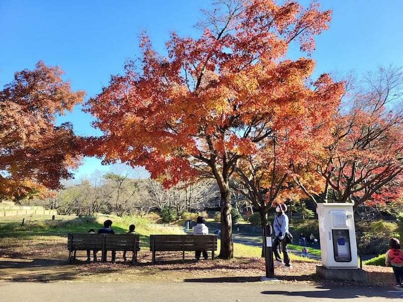 20221127_133202.jpg 20221127_133202.jpg