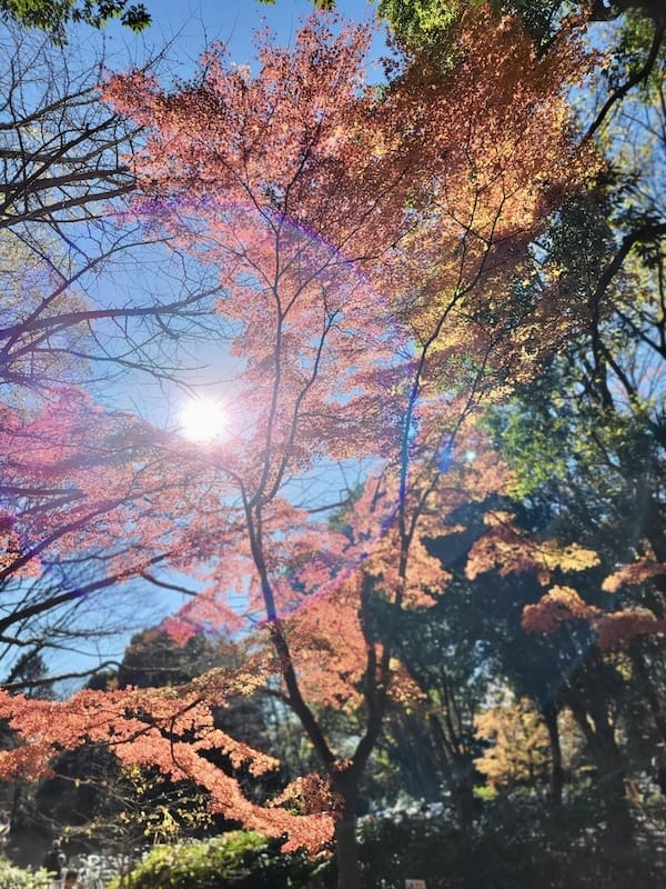 20221127_123645.jpg 20221127_123645.jpg