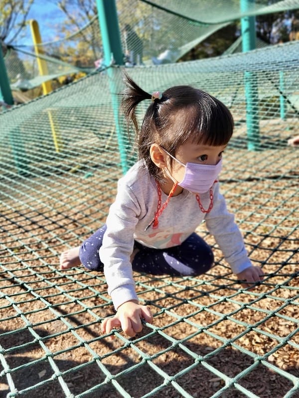 20221127_114339.jpg 20221127_114339.jpg