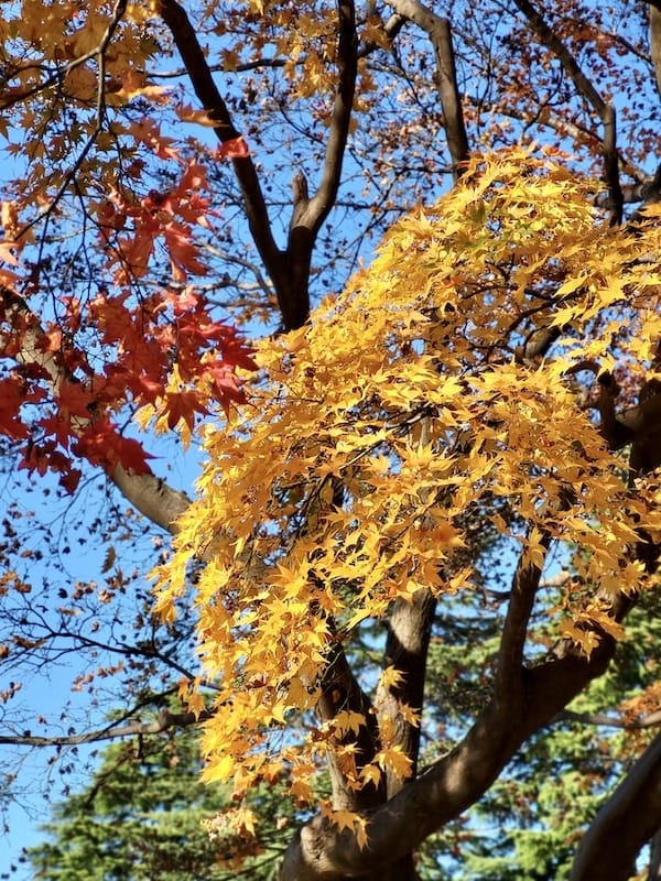 20221127_132849.jpg 20221127_132849.jpg