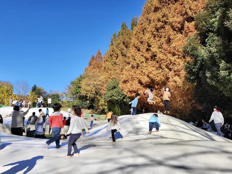 2025-11-30 東京親子賞楓旅 Day4-1 昭和紀念公園+Harbs慶生