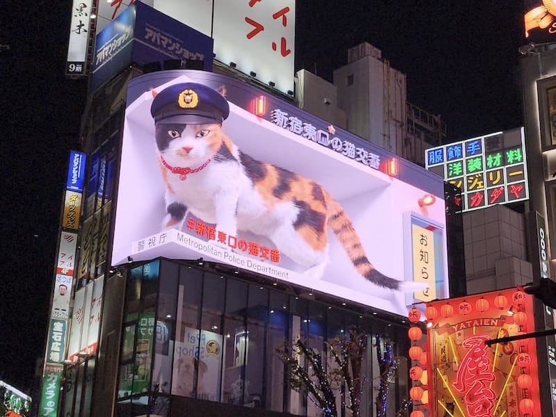 20221127_173729.jpg 20221127_173729.jpg