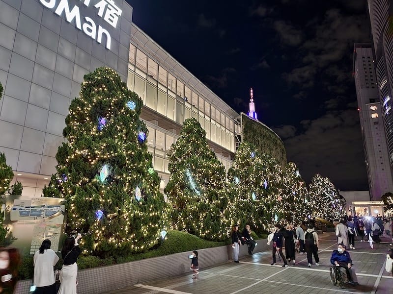 20221127_174918.jpg 20221127_174918.jpg