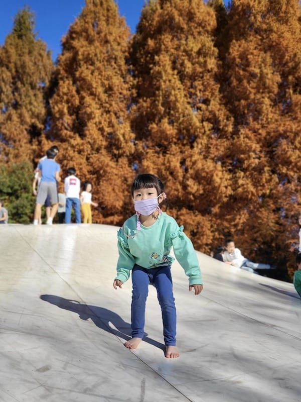 20221127_125029.jpg 20221127_125029.jpg