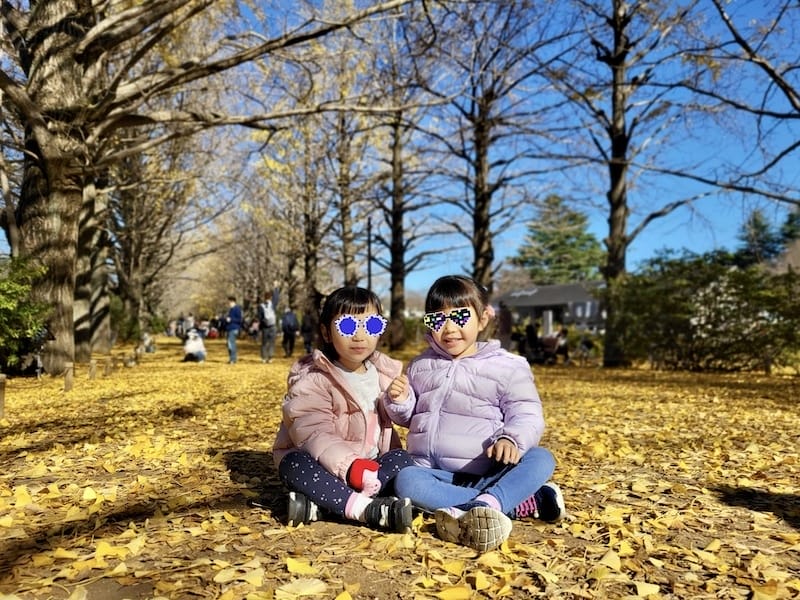 20221127_104507.jpg 20221127_104507.jpg