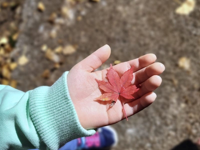 20221127_123429.jpg 20221127_123429.jpg