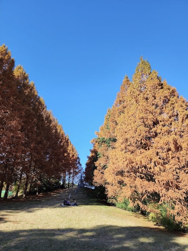 20221127_130409.jpg 20221127_130409.jpg