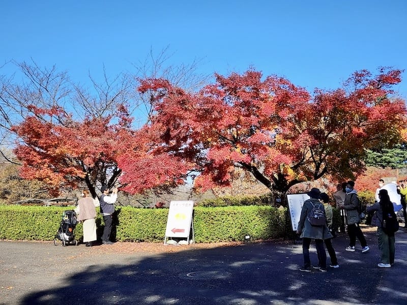 20221127_102730.jpg 20221127_102730.jpg