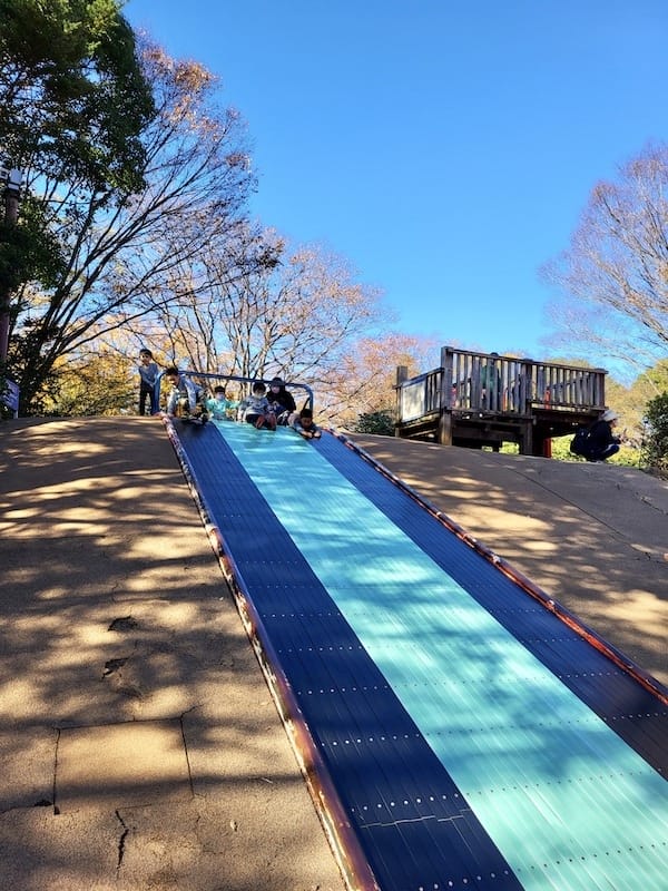 20221127_122559.jpg 20221127_122559.jpg