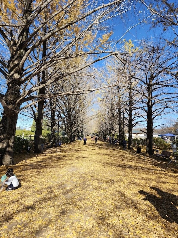 20221127_110822.jpg 20221127_110822.jpg