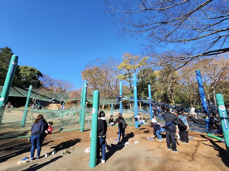 20221127_114229.jpg 20221127_114229.jpg