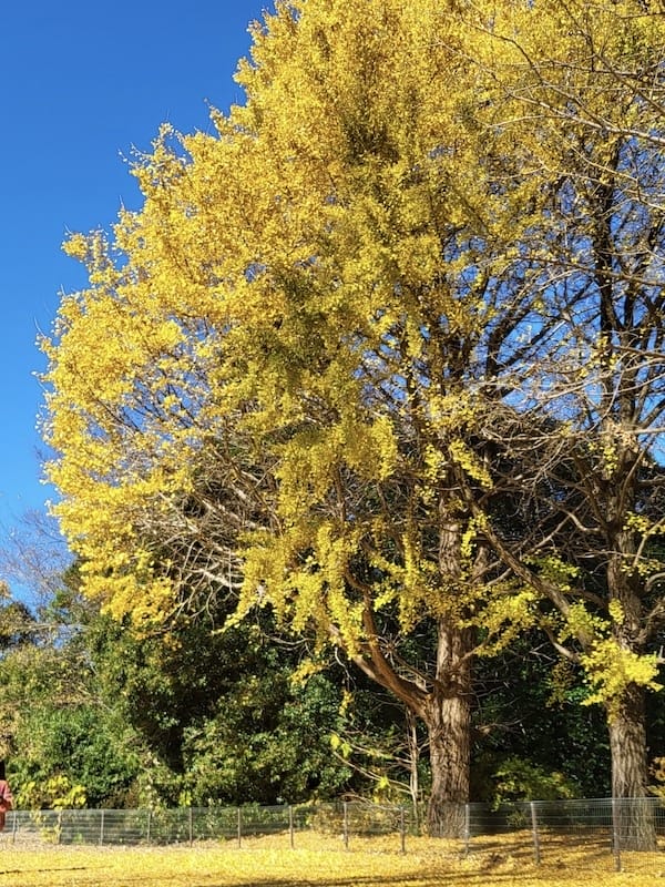 20221127_113215.jpg 20221127_113215.jpg