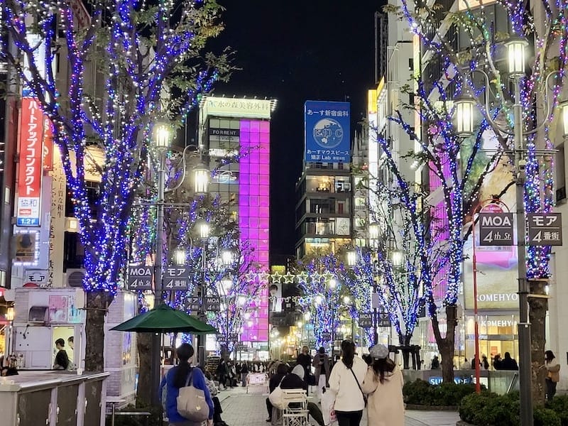 20221127_173056.jpg 20221127_173056.jpg