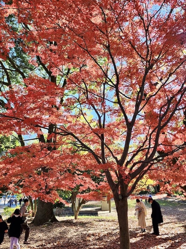 20221127_132033.jpg 20221127_132033.jpg