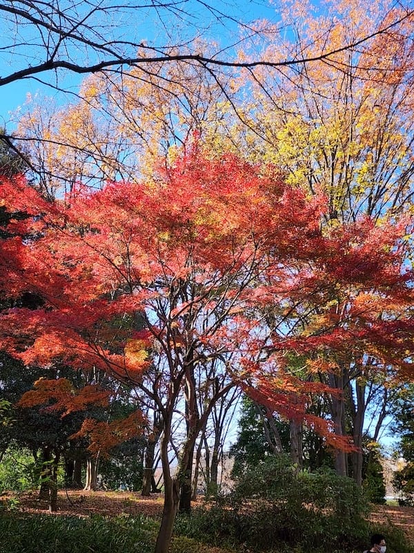 20221127_101907.jpg 20221127_101907.jpg