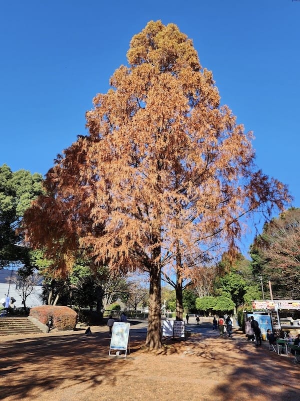 20221127_102249.jpg 20221127_102249.jpg