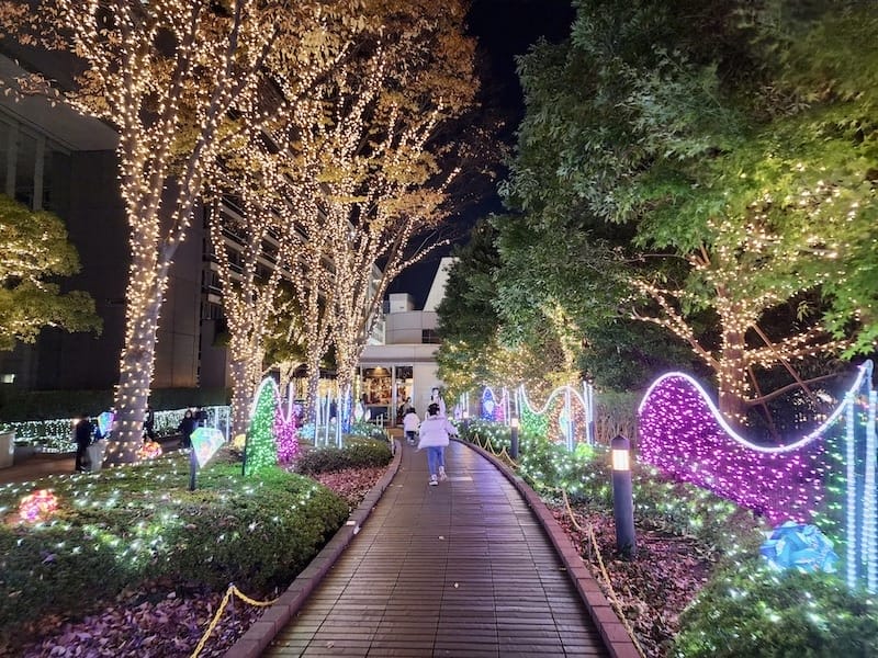 20221127_175743.jpg 20221127_175743.jpg