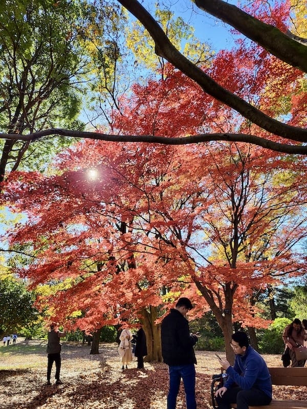 20221127_132043.jpg 20221127_132043.jpg