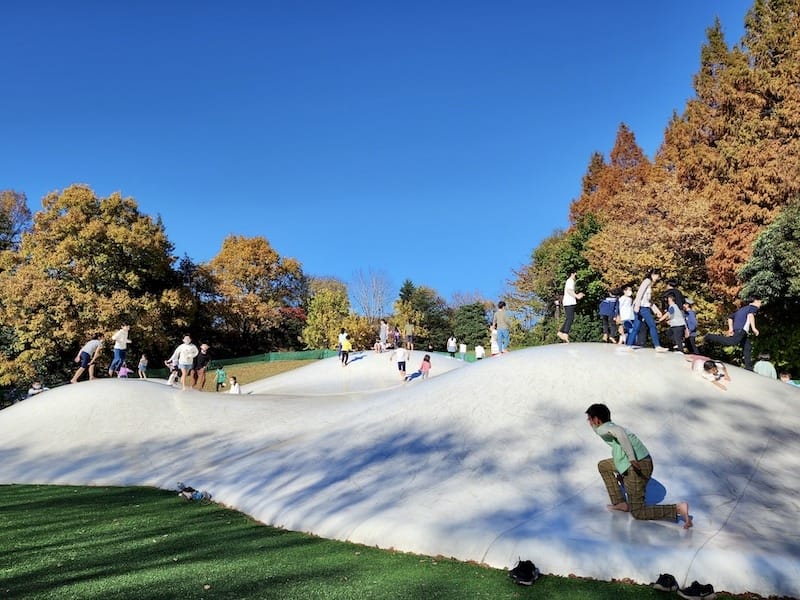 20221127_125005.jpg 20221127_125005.jpg