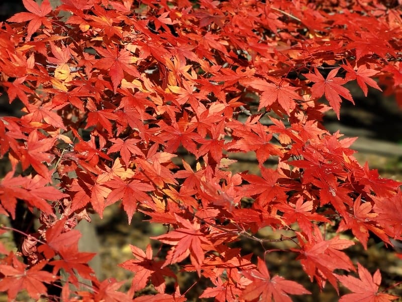 20221127_123344.jpg 20221127_123344.jpg