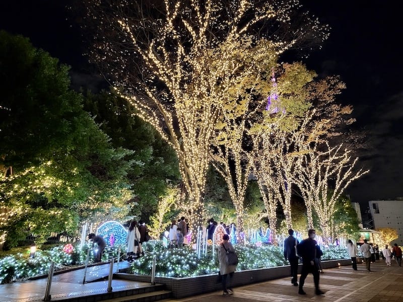 20221127_175352.jpg 20221127_175352.jpg