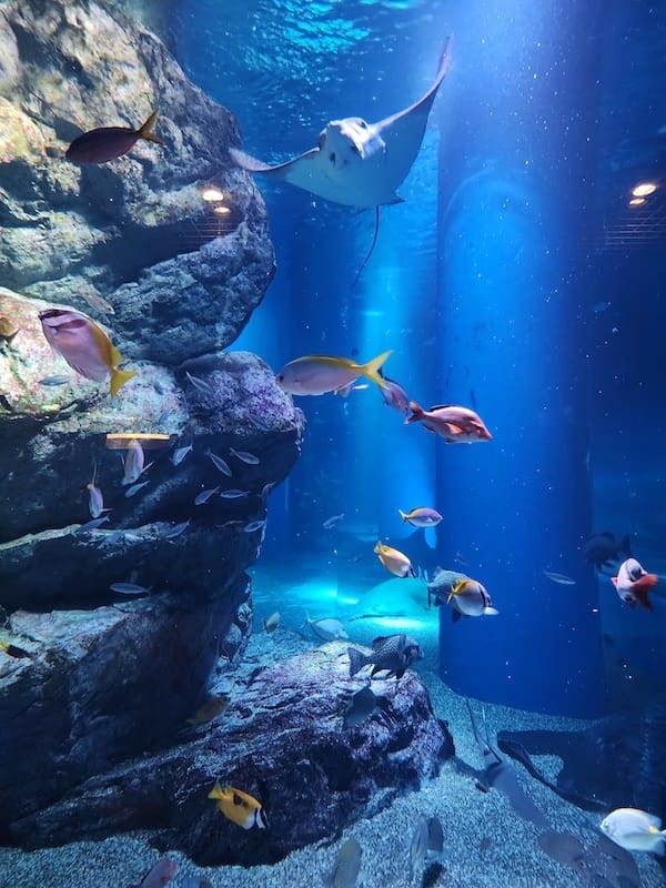 20221130_170845.jpg 20221130_170845.jpg