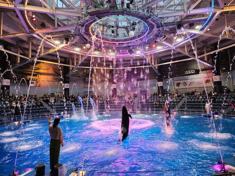 20221130_161556.jpg 20221130_161556.jpg