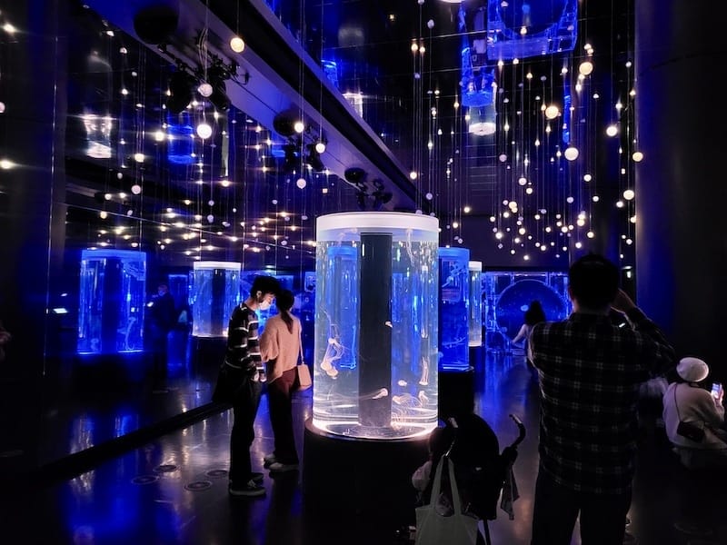 20221130_164453.jpg 20221130_164453.jpg