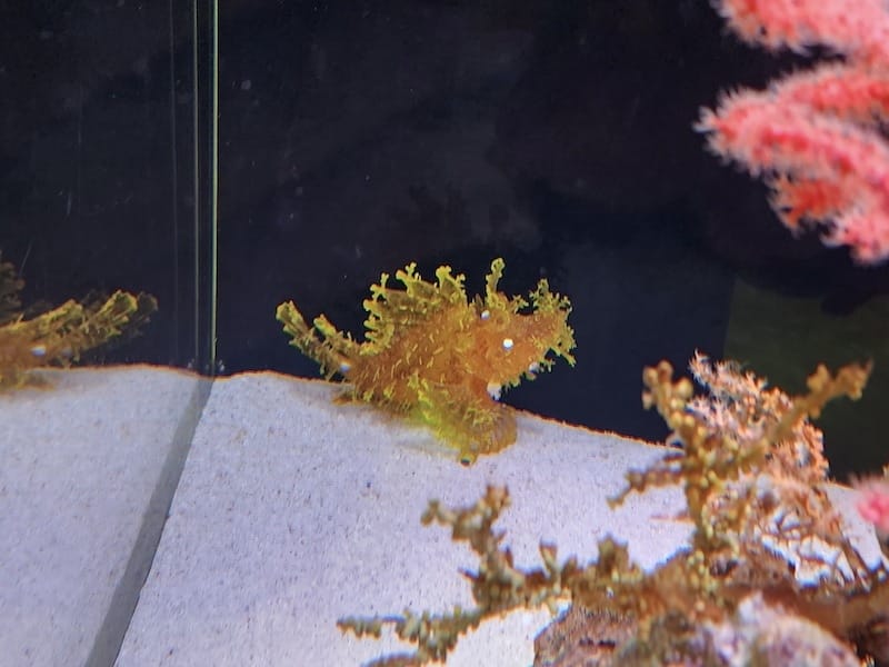 20221130_152508.jpg 20221130_152508.jpg