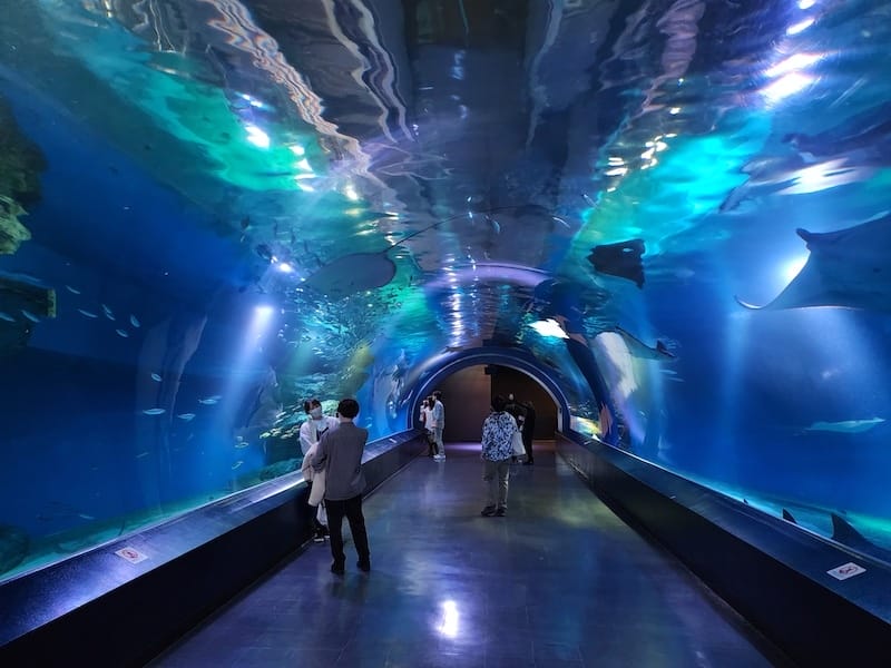 20221130_171954.jpg 20221130_171954.jpg