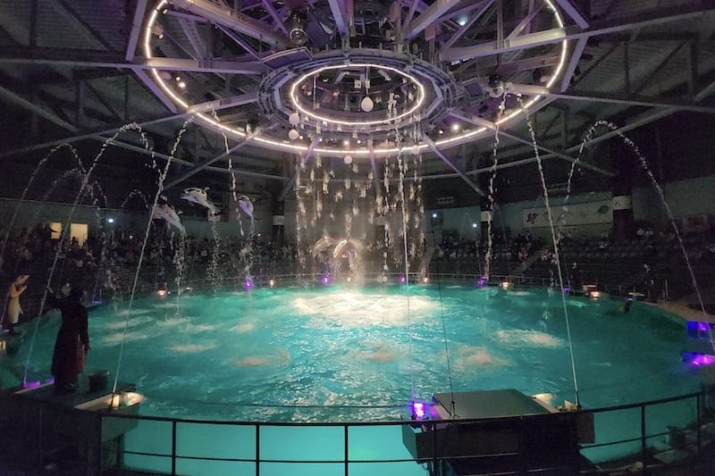 20221130_174311.jpg 20221130_174311.jpg