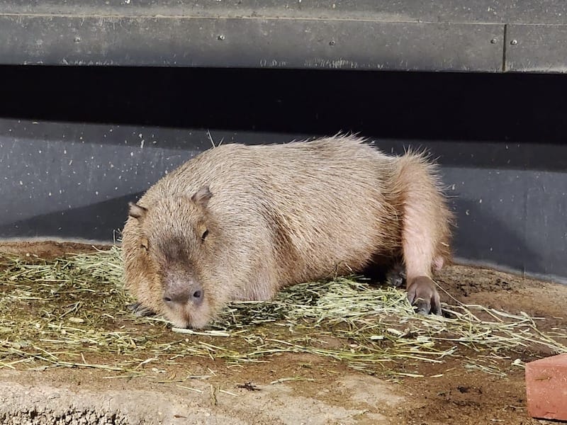 20221130_180003.jpg 20221130_180003.jpg