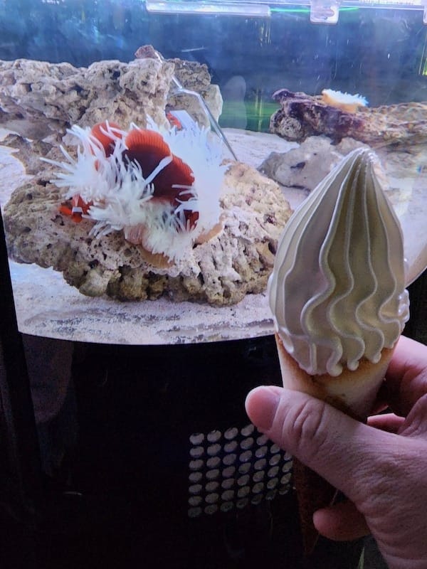 20221130_165245.jpg 20221130_165245.jpg