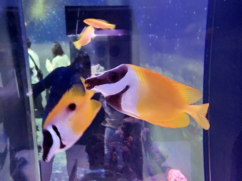 20221130_152716.jpg 20221130_152716.jpg