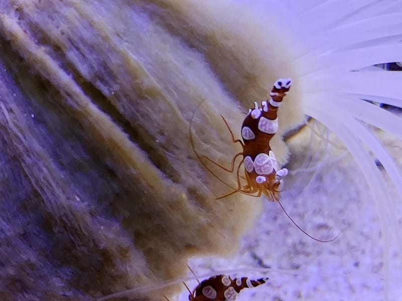 20221130_170657.jpg 20221130_170657.jpg