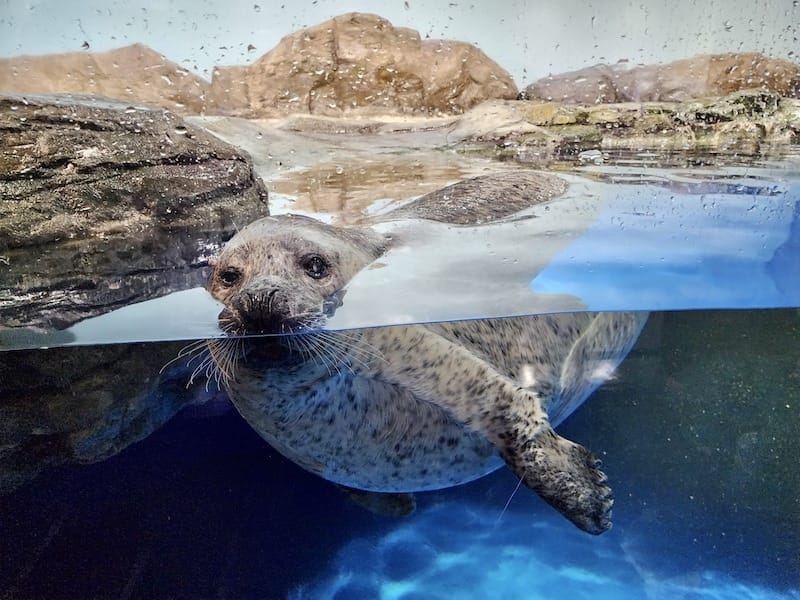 20221130_154621.jpg 20221130_154621.jpg