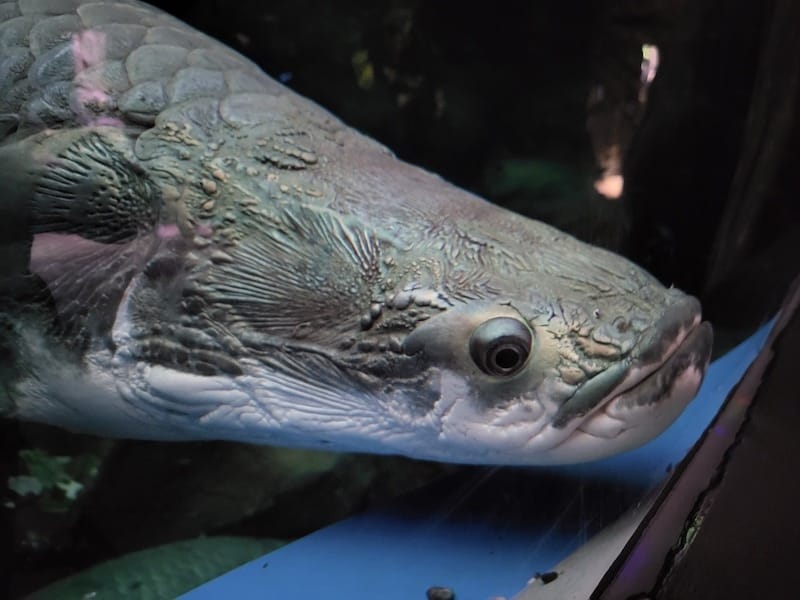 20221130_175514.jpg 20221130_175514.jpg