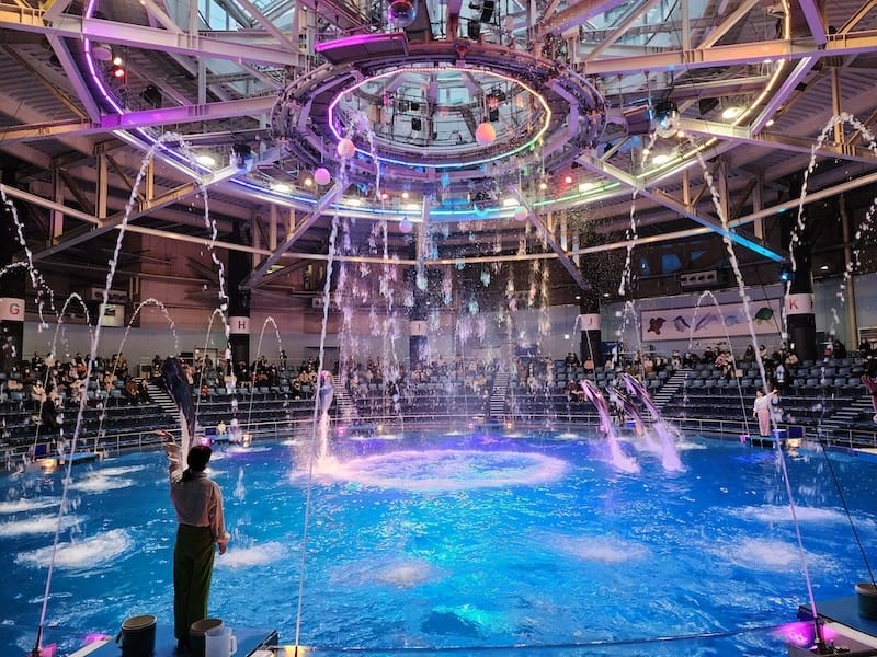 20221130_161553.jpg 20221130_161553.jpg