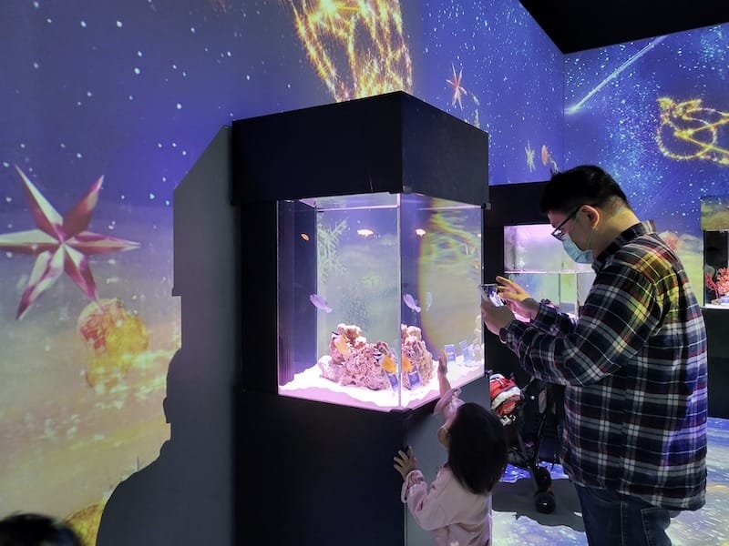 20221130_152640.jpg 20221130_152640.jpg