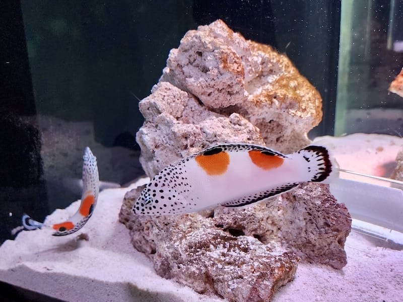 20221130_152526.jpg 20221130_152526.jpg