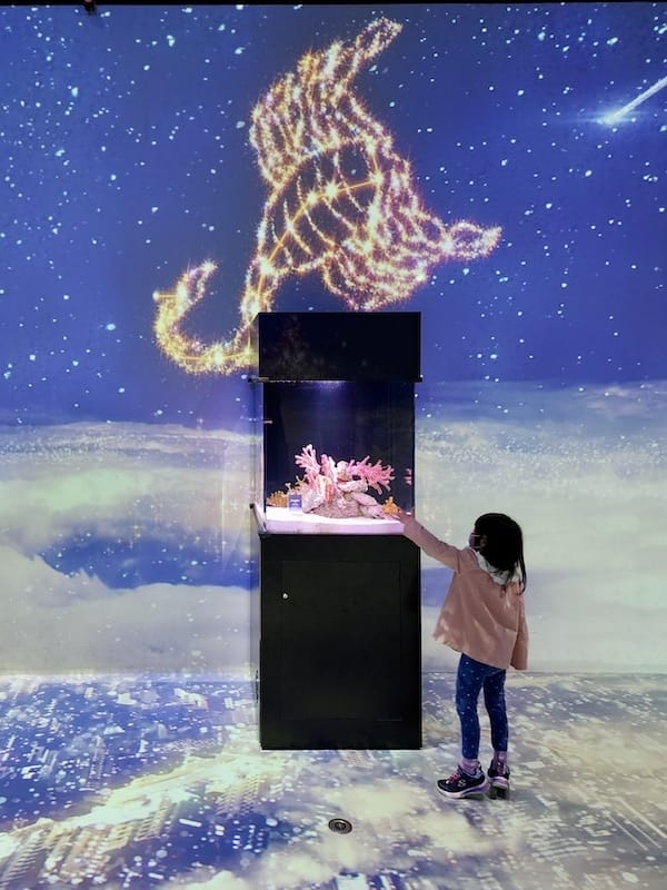 20221130_152437.jpg 20221130_152437.jpg