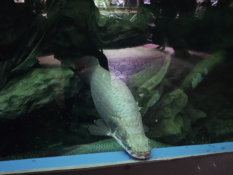 20221130_175451.jpg 20221130_175451.jpg