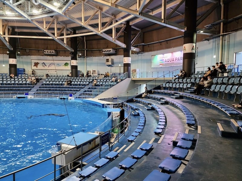 20221130_155046.jpg 20221130_155046.jpg