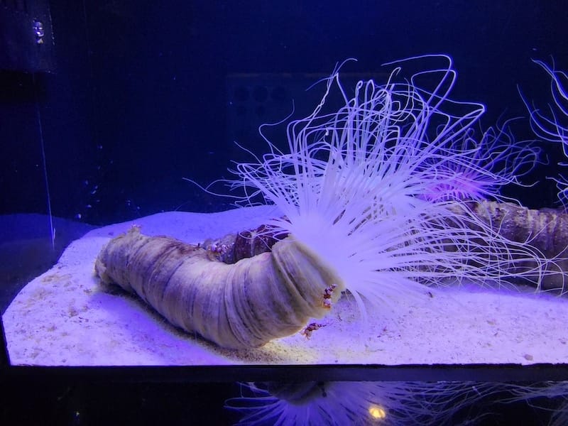 20221130_170647.jpg 20221130_170647.jpg