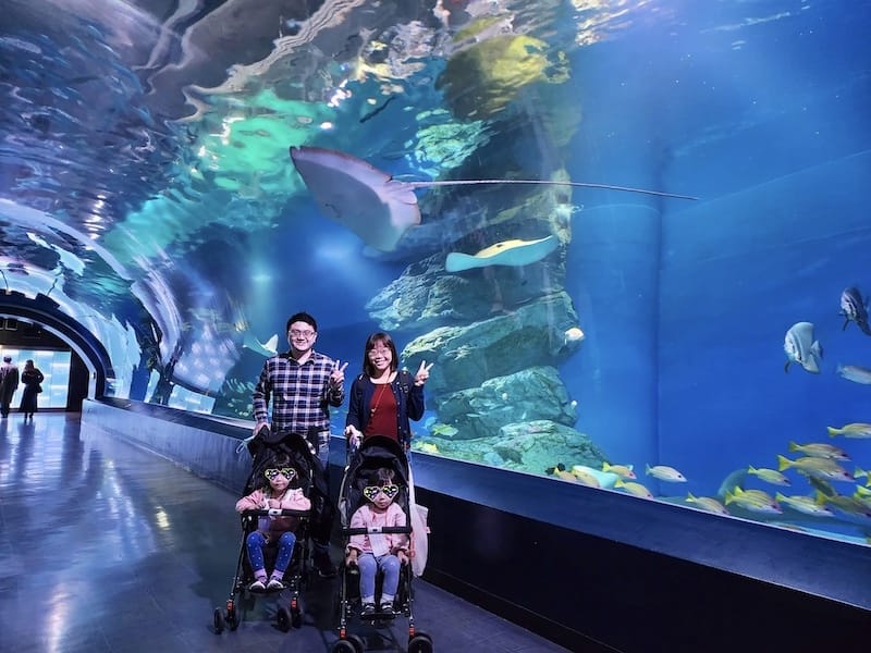 20221130_171059.jpg 20221130_171059.jpg